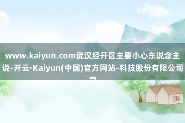 www.kaiyun.com武汉经开区主要小心东说念主说-开云·Kaiyun(中国)官方网站-科技股份有限公司