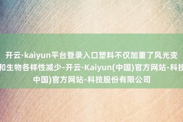 开云·kaiyun平台登录入口塑料不仅加重了风光变化、海洋变酸和生物各样性减少-开云·Kaiyun(中国)官方网站-科技股份有限公司