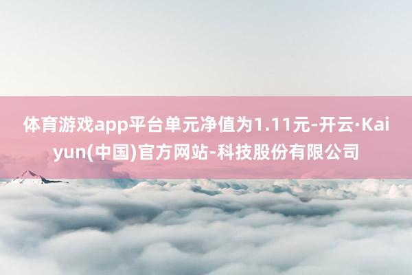 体育游戏app平台单元净值为1.11元-开云·Kaiyun(中国)官方网站-科技股份有限公司