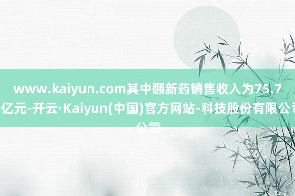 www.kaiyun.com其中翻新药销售收入为75.70亿元-开云·Kaiyun(中国)官方网站-科技股份有限公司