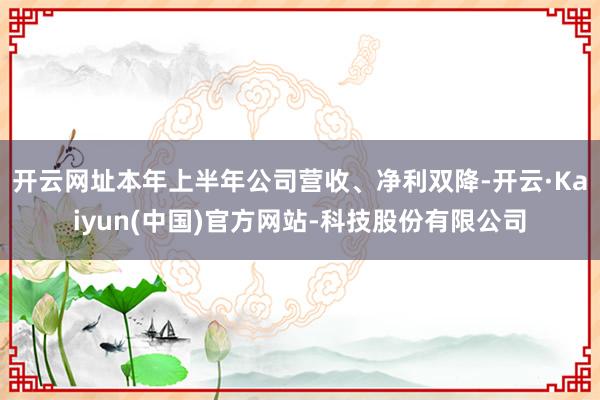 开云网址本年上半年公司营收、净利双降-开云·Kaiyun(中国)官方网站-科技股份有限公司