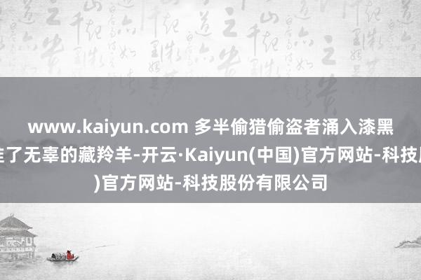www.kaiyun.com 多半偷猎偷盗者涌入漆黑森的枪口瞄准了无辜的藏羚羊-开云·Kaiyun(中国)官方网站-科技股份有限公司